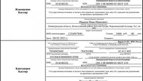 Что делать, если неправильно оплатил госпошлину в Билайн