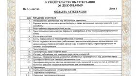 Что включает декларация промышленной безопасности в Билайн