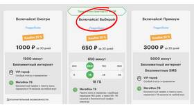 Как настроить интернет через МегаФон в Билайн