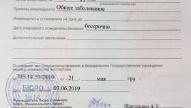 Как оформить инвалидность через Госуслуги бесплатно в Билайн