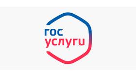 Как оплатить госпошлину через Госуслуги в Билайн