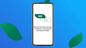 Как платить телефоном картой Мир Сбербанка в Билайн
