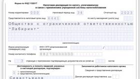 Как подать декларацию ИП на УСН в Билайн