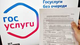 Как подать трудовой договор через Госуслуги в Билайн