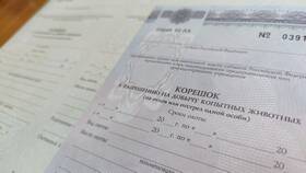 Как получить разрешение на охоту через Госуслуги в Билайн