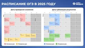 Как получить результаты ОГЭ через Госуслуги в Билайн