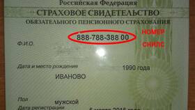 Как получить СНИЛС в Социальном фонде России в Билайн