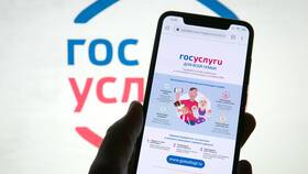 Как получить справку через Госуслуги в Билайн