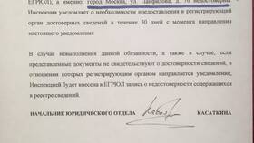 Как получить выписку из ЕГРЮЛ через налоговую в Билайн