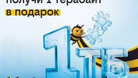 Как проверить оставшиеся пакеты услуг Билайн в Билайн