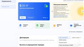 Как выглядит налоговая декларация 3-НДФЛ в Билайн