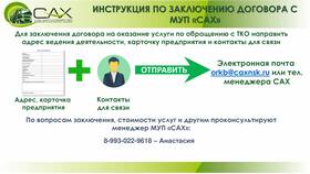 Как заключить договор с директором ООО в Билайн
