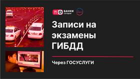 Как записаться на теоретический экзамен в ГИБДД через Госуслуги в Билайн