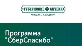 Как заплатить бонусами СберСпасибо в Билайн