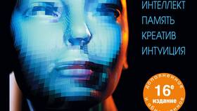 Мозг на 100%: что будет в Билайн