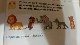 Названия детенышей птицы додо в Билайн