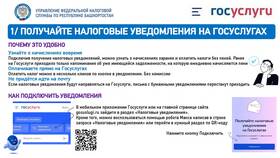Не найден ФНС на Госуслугах: что делать в Билайн
