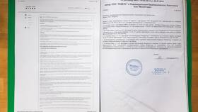 Подтверждение что ИП на УСН в Билайн