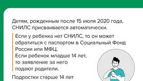 СНИЛС: для чего нужен физическим лицам в Билайн