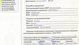 Выписка СЗИ-6: что это за документ в Билайн