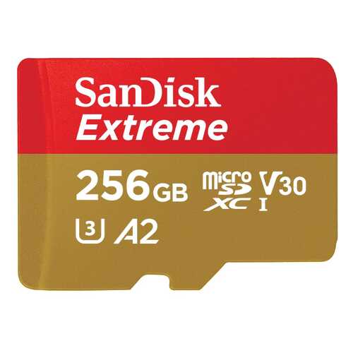 Карта памяти SanDisk SDXC Extreme SDSQXA1-256G-GN6MA 256GB в Билайн